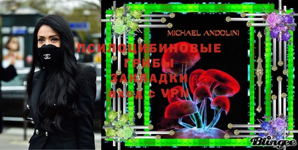 apvp Алзамай