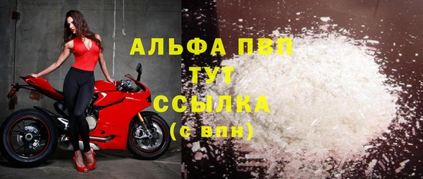 apvp Алзамай