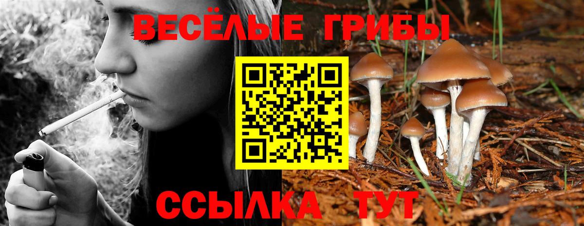 Галлюциногенные грибы мухоморы  Псилоцибиновые грибы Cubensis  Кулебаки  Вход с VPN 